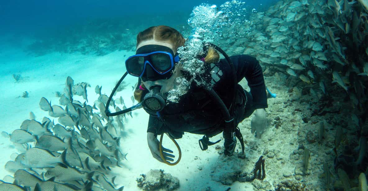 El Gouna Diving or Snorkeling 2 Spots Boat Trip with Lunch GetYourGuide