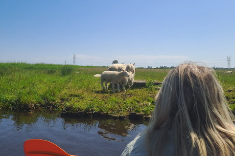 Amsterdam: Countryside Bike and Kayak Guided Tour