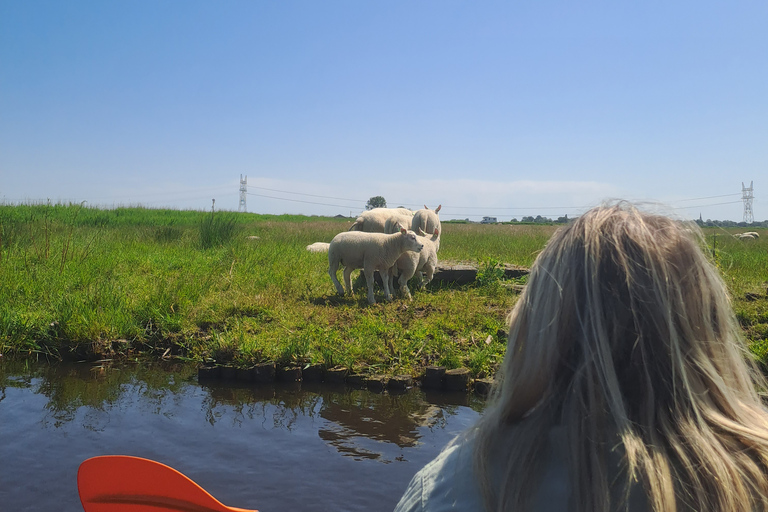 Amsterdã: Tour guiado de bicicleta e caiaque pelo campo