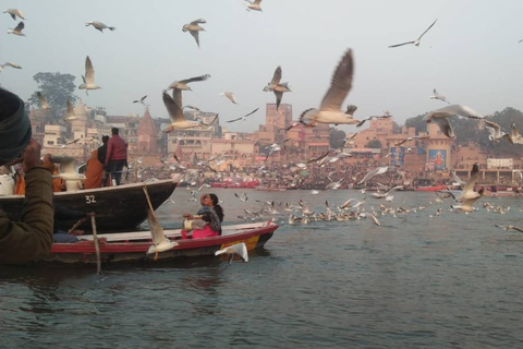 8 dagar Privat Golden Triangle med Varanasi8 dagars privat Golden Triangle med Varanasi