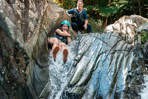 San Juan: El Yunque Rainforest en Bio Bay Combo Tour