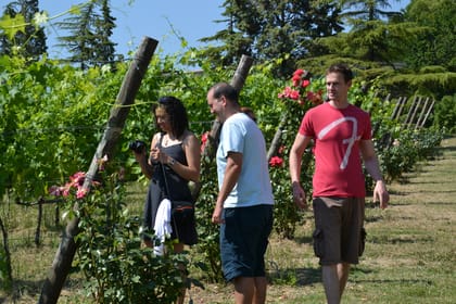 WINE TASTING TOUR - Housity