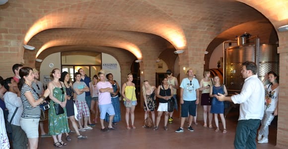 Weinverkostung Tour mit Olivenöl und Salami