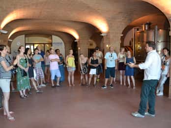 Wine tasting tour with olive oil and salami