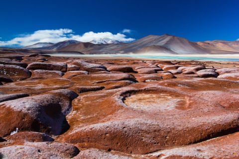 Red Stones, Altiplanic Lagoons and Chaxa (Atacama Saltflat)