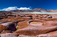Caracoles, Red Stones of Atacama e Chaxa Guided Day Trip - Housity