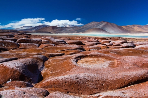 Caracoles : Les pierres rouges d'Atacama et Chaxa Excursion guidée d'une journée