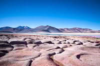 Caracoles, piedras rojas de Atacama y Chaxa Guided Day Trip - Housity
