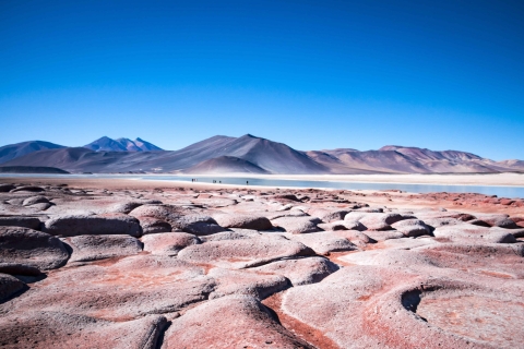 Caracoles: Rote Steine von Atacama und Chaxa Geführte Tagestour