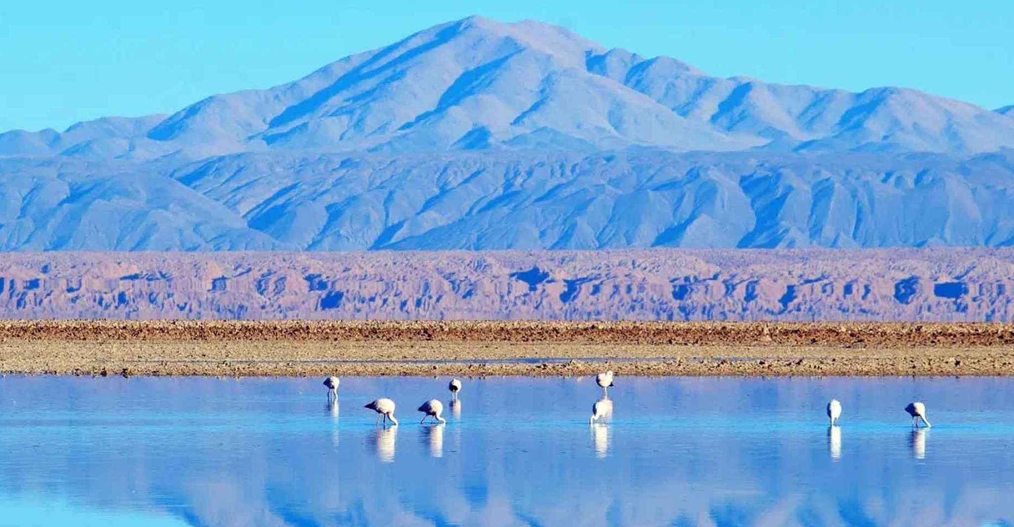 Caracoles, Red Stones of Atacama and Chaxa Guided Day Trip - Housity