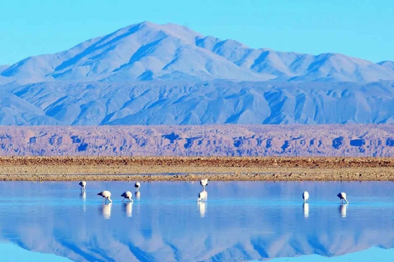 Caracoles: Red Stones of Atacama and Chaxa Guided Day Trip