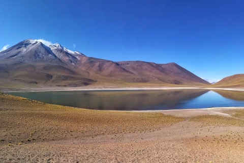 Caracoles : Les pierres rouges d'Atacama et Chaxa Excursion guidée d'une journée