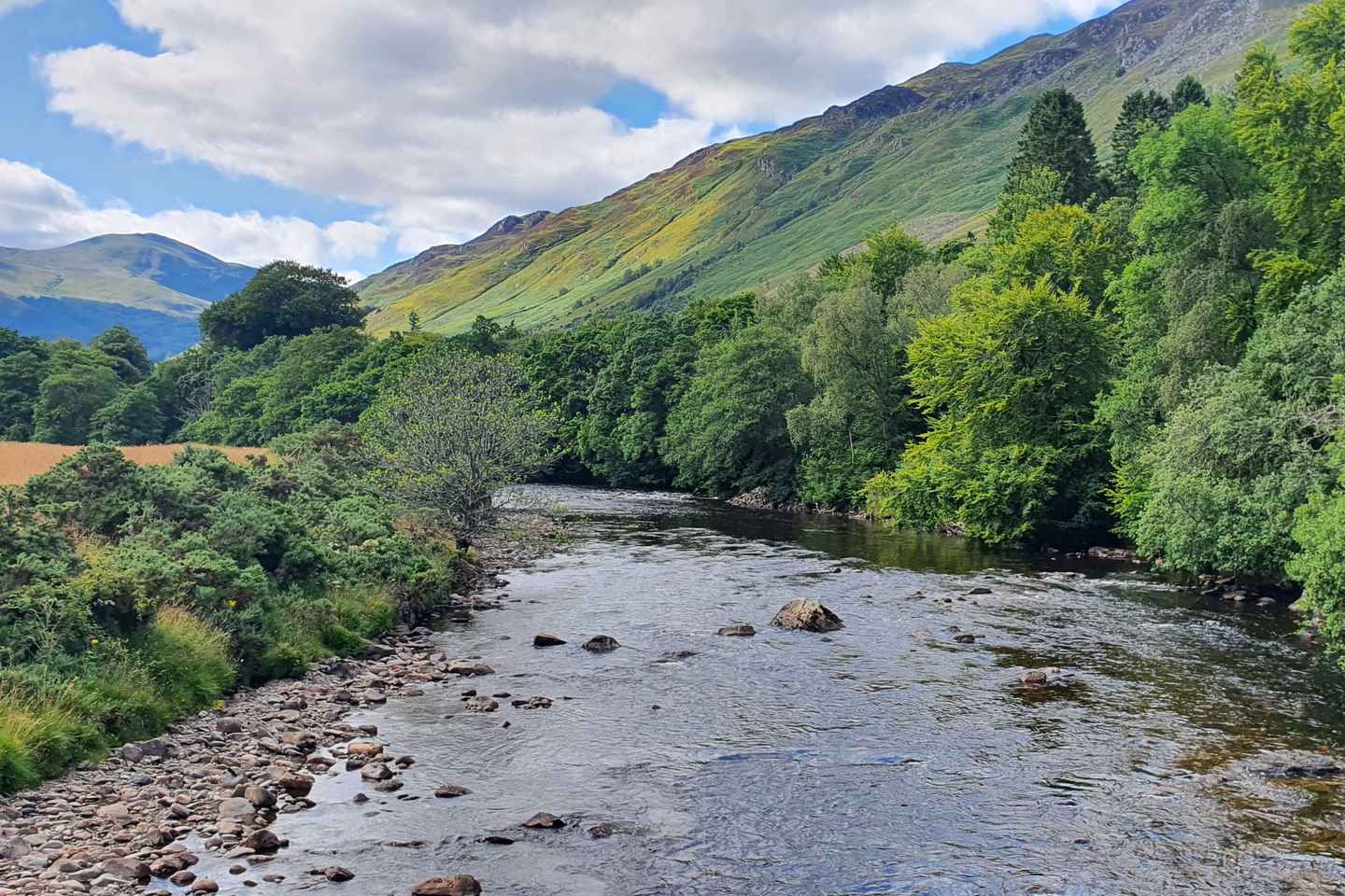 D'Édimbourg : Visite Privée d'une Vallée Écossaise Majestueuse