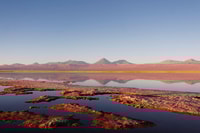 Cejar Lagoon, Tebemquinche Lagoon and Ojos del Salar - Housity
