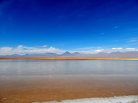 Cejar Lagoon, Tebemquinche Lagoon and Ojos del Salar - Housity
