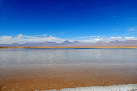 Lagoa Cejar, Lagoa Tebemquinche e Ojos del Salar