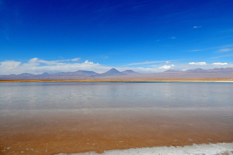 Lagune de Cejar, Lagune de Tebemquinche et Ojos del Salar