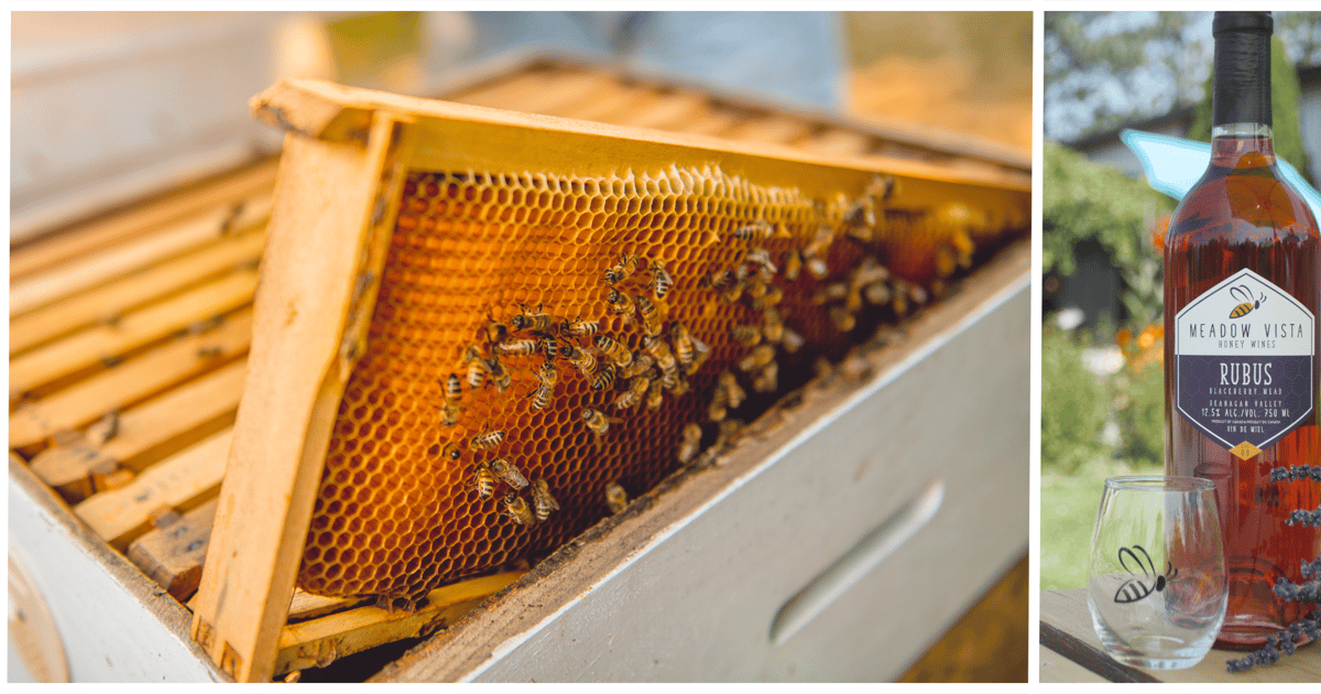 Okanagan Bee Tour, Weinverkostung und Mittagessen im Weingut Kelowna GetYourGuide