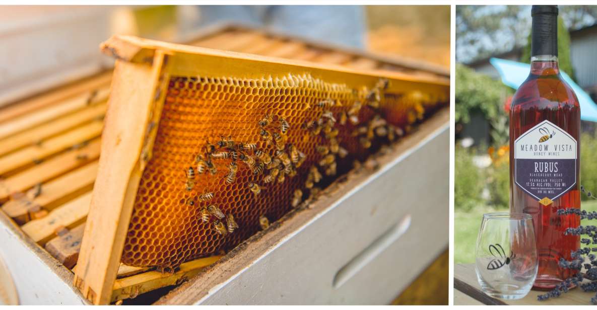 Nos 7 astuces pour aider les abeilles de votre quartier