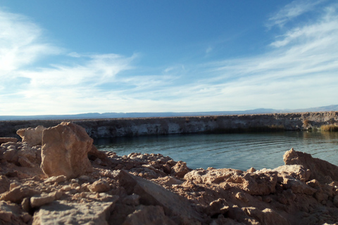 Cejar-lagune, Tebemquinche-lagune en Ojos del Salar