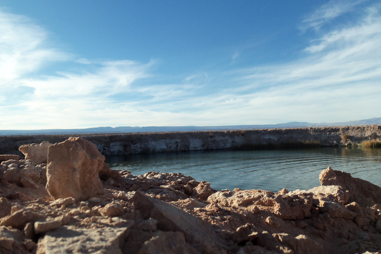 Laguna di Cejar, Laguna di Tebemquinche e Ojos del Salar