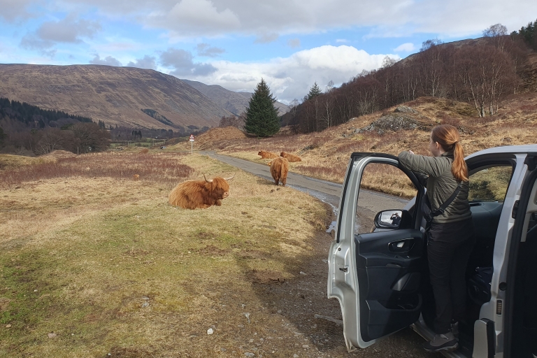 Depuis Édimbourg : Les Highlands écossais hors des sentiers battus