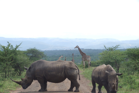 4 días de pernoctación en la Ruta Panorámica y Safari