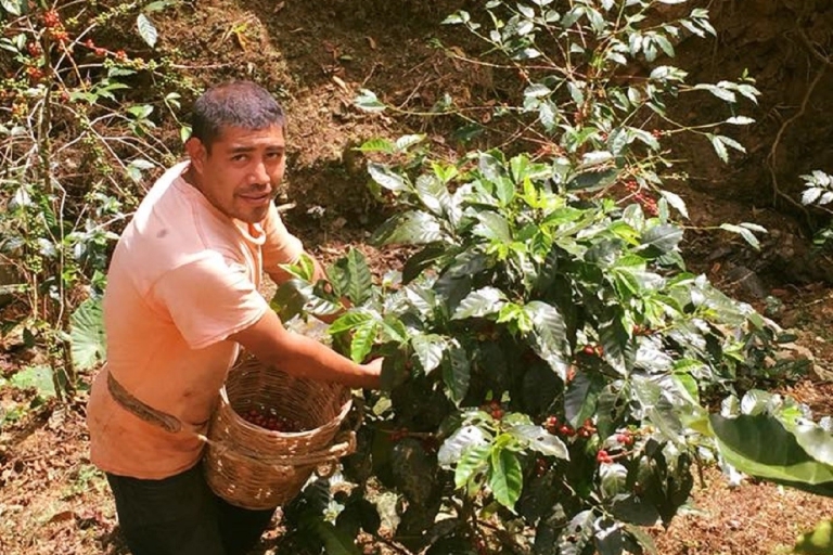 Van Huatulco: koffie privéervaring