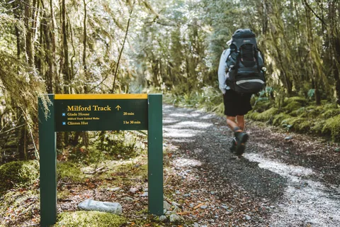 Paseo autoguiado de un día por Milford Track desde el lago Te Anau