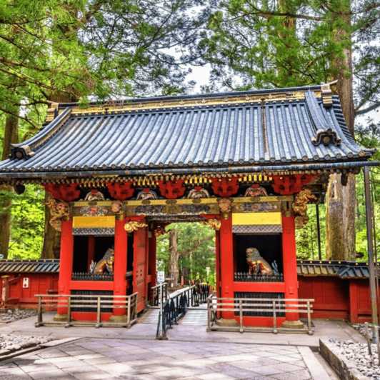 Nikko World Heritage Private Tour From Tokyo By Car & Van