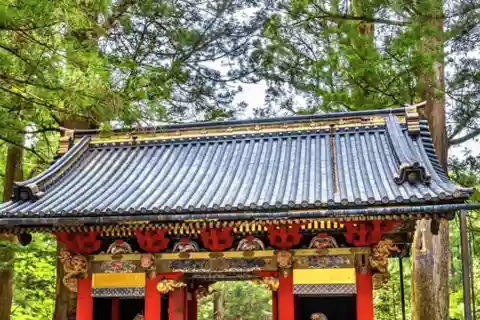 Da Tokyo: Tour privato di un giorno di Nikko con autista inglese