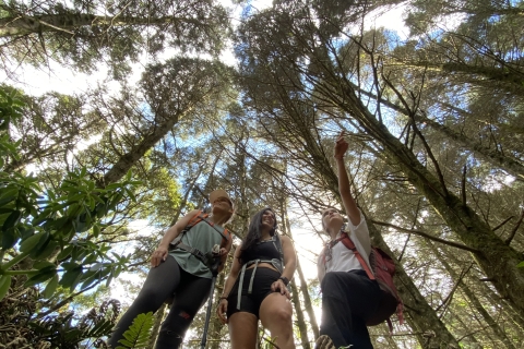 Costa Rica: Wanderabenteuer & Wandern - Tagestouren