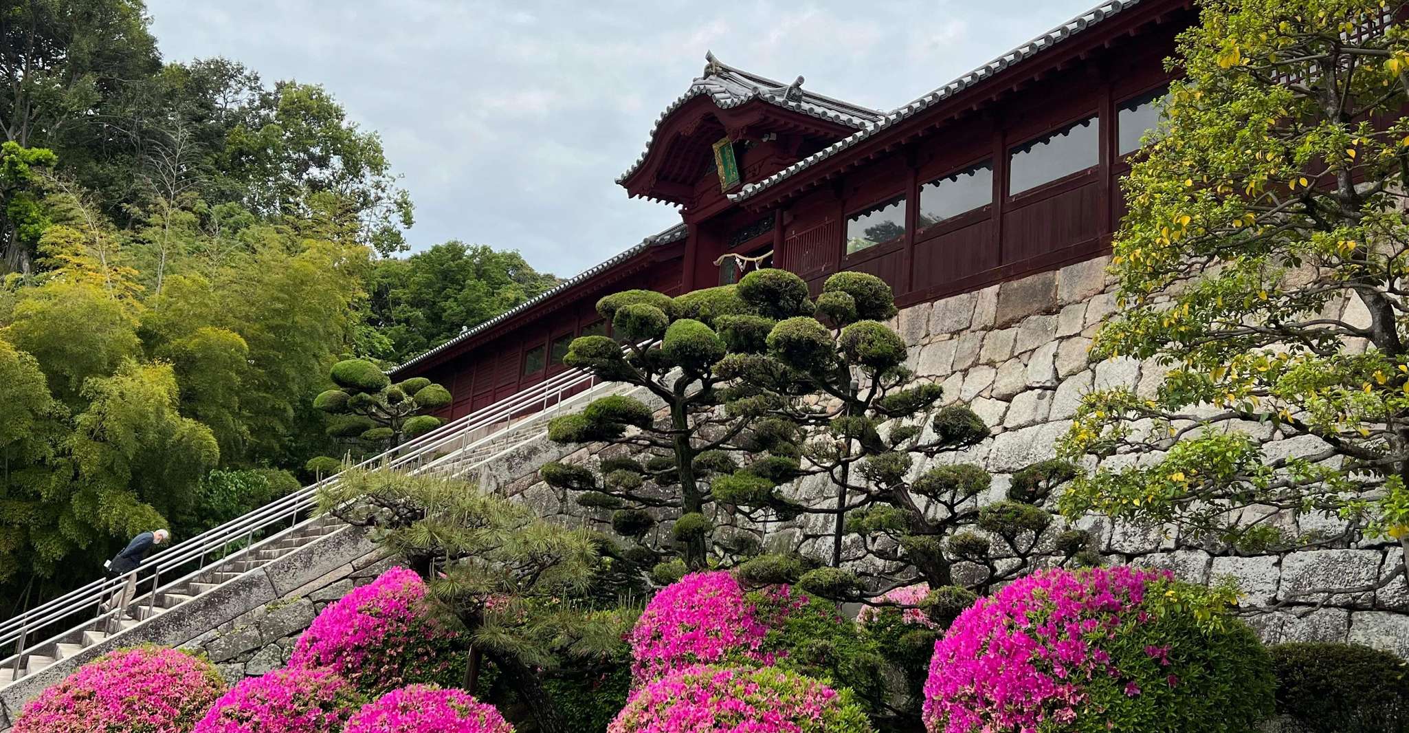 Hiroshima, Early Morning Hiking Tour with Tea Ceremony - Hizvo