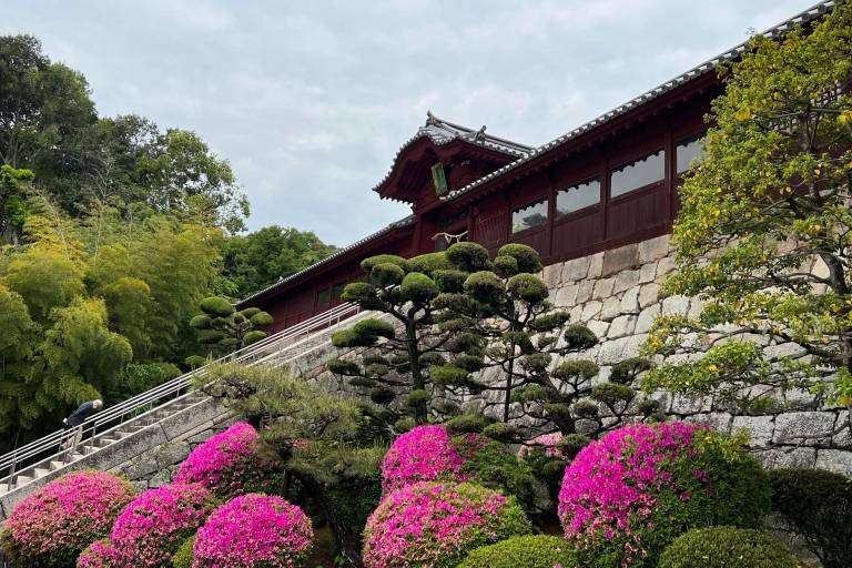 Hiroshima: Trekking tôt le matin avec cérémonie du théCérémonie du thé en plein air