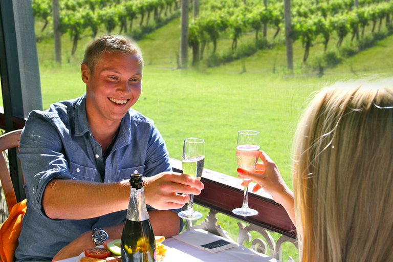 Brisbane : vol en montgolfière avec petit-déjeuner dans un vignoble