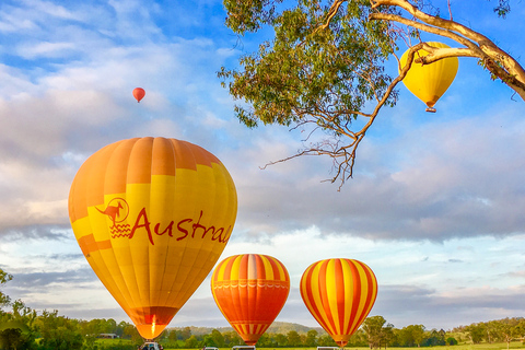 Brisbane: Voo de balão de ar quente com café da manhã em um vinhedoBrisbane: voo de balão de ar quente com café da manhã na vinha