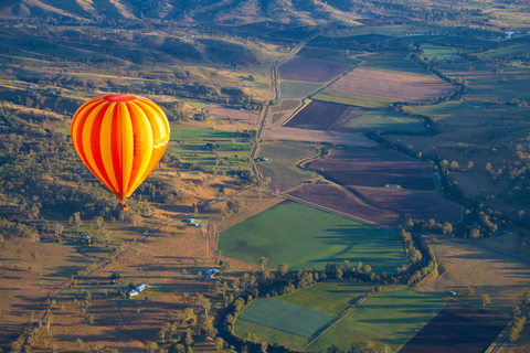 Brisbane : vol en montgolfière avec petit-déjeuner dans un vignoble