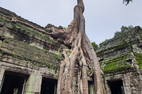 Mixture of temples and waterfall.