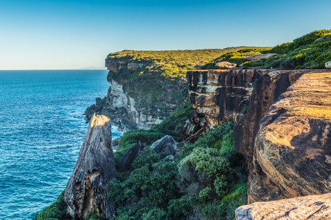 De Sydney: Tour particular pelo Royal National Park