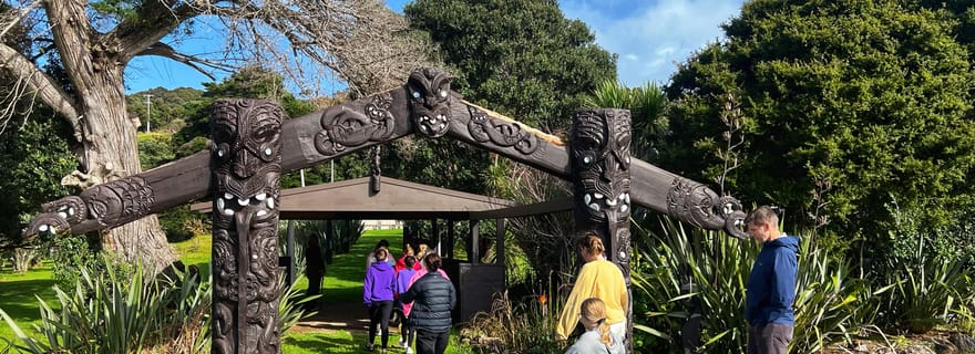 Île de Waiheke : visite culturelle maorie, déjeuner et vin