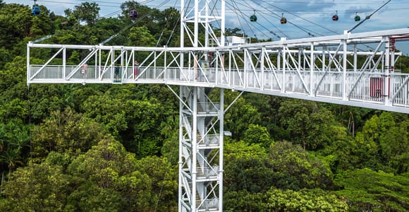 Singapore: Skypark Sentosa Entry Ticket and Activity Options