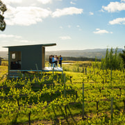 Barossa Wine Tour: Small Group of 8 max, Rare, Unique, & Lunch