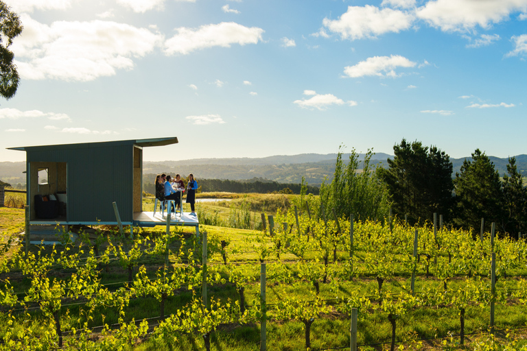 Barossa: Wine Tour with Lunch and Wine Tasting