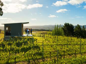 Barossa Wine Tour : Rare – 8 Guests Only – Truly Different