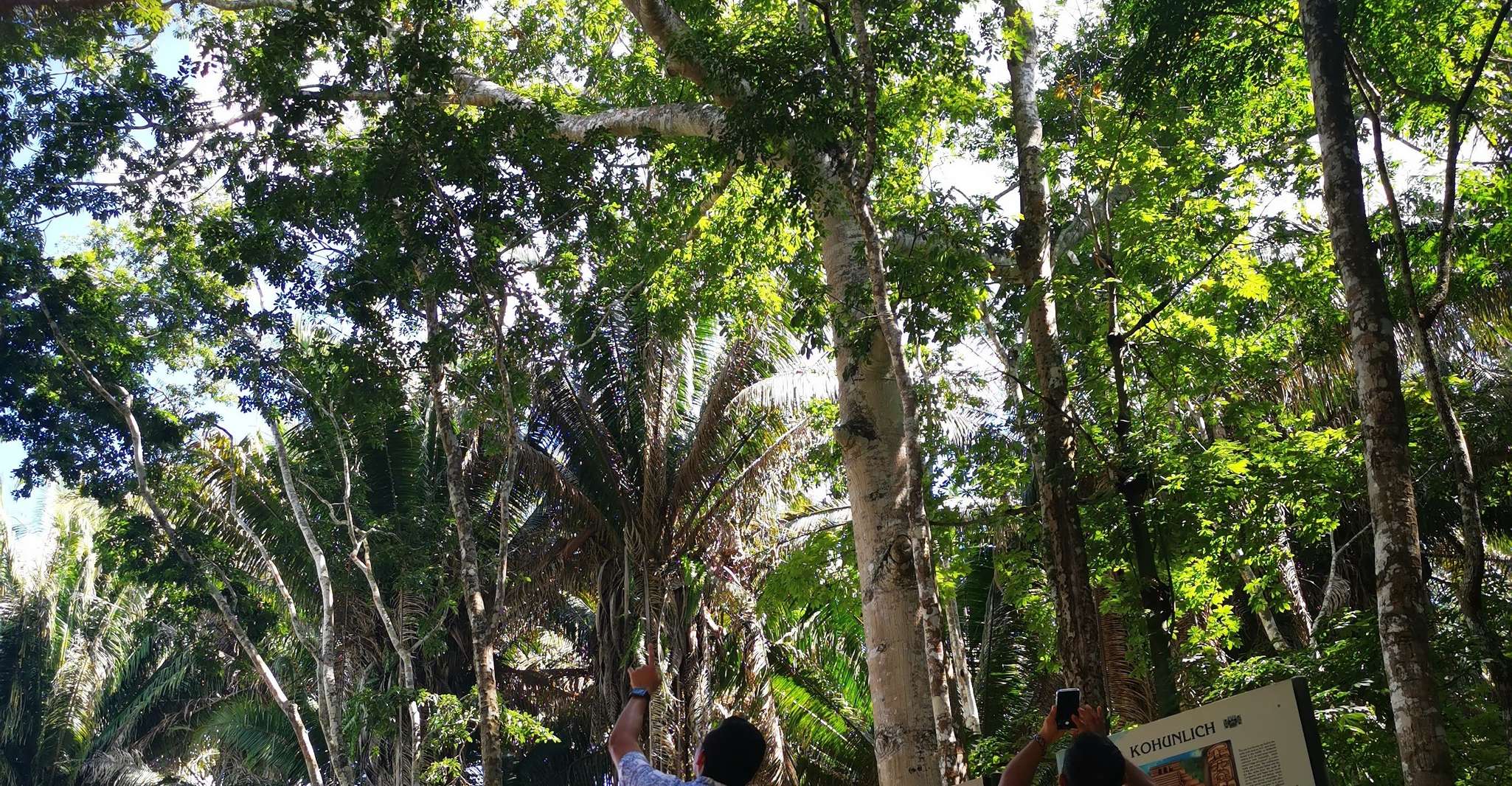 Dzibanche en Kohunlich Ruins uit Bacalar en Chetumal - Hizvo