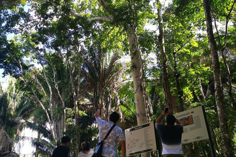 Dzibanche & Kohunlich Mayan Archeology Tour & 3 course Meal