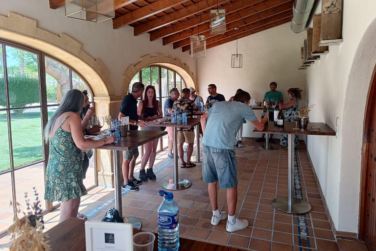 Da Alicante, Benidorm: Tour della cantina e degustazione di vini