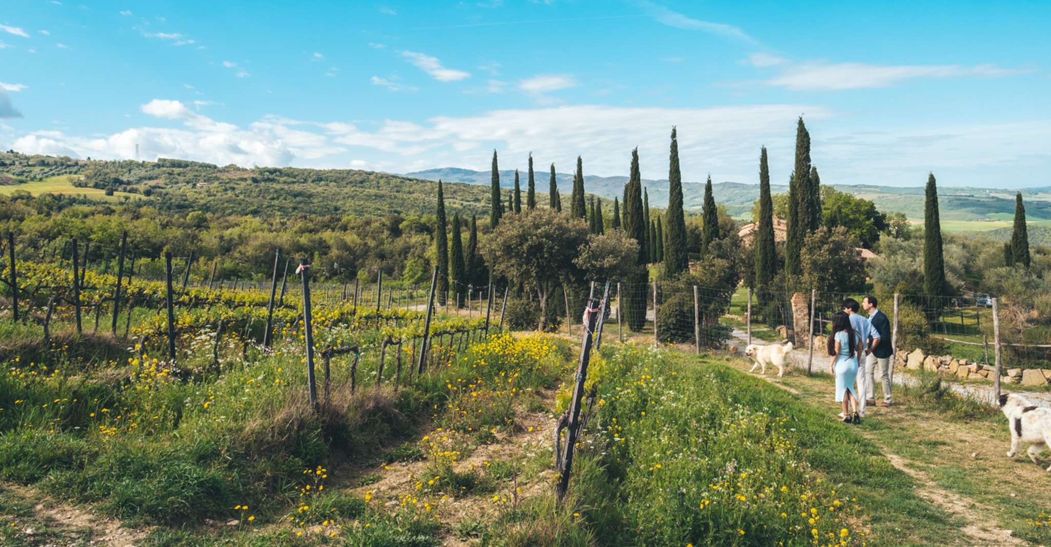 Val d'Orcia, Wine and Food Tasting at a Podere - Housity