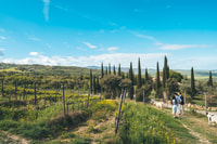 Val d'Orcia, Wine and Food Tasting at a Podere - Housity