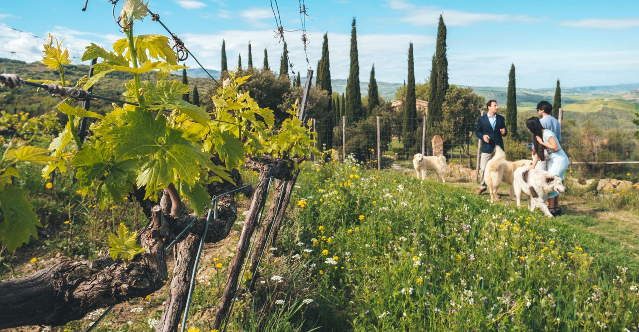 Val d'Orcia, Wine and Food Tasting at a Podere - Housity